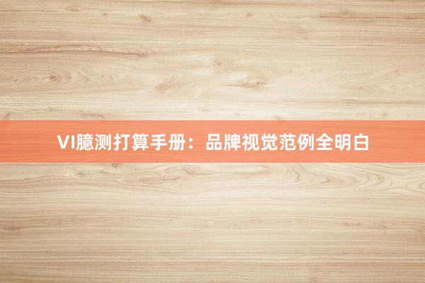 VI臆测打算手册：品牌视觉范例全明白
